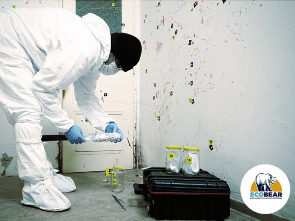 WHAT TYPES OF SITUATIONS REQUIRE A BIOHAZARD CLEANING SERVICE Eco Bear biohazard cleaning underway