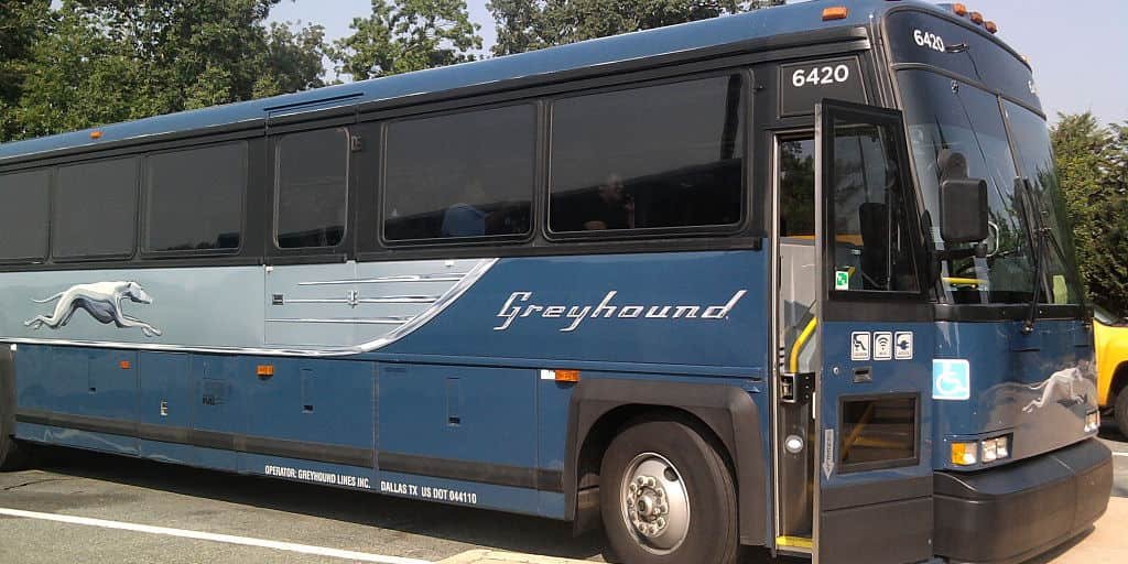greyhound bus side view of one greyhound bus