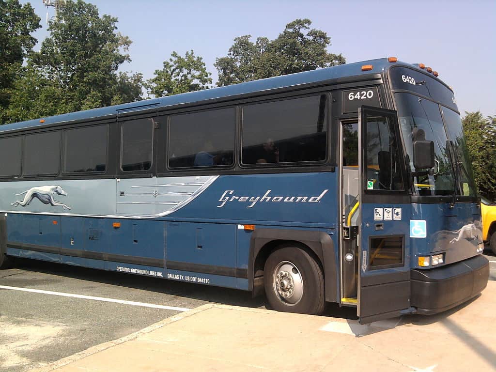greyhound bus side view of one greyhound bus