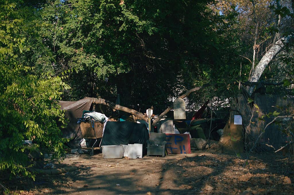 homeless encampment cypress california homeless encampment surrounded by trees and bushes