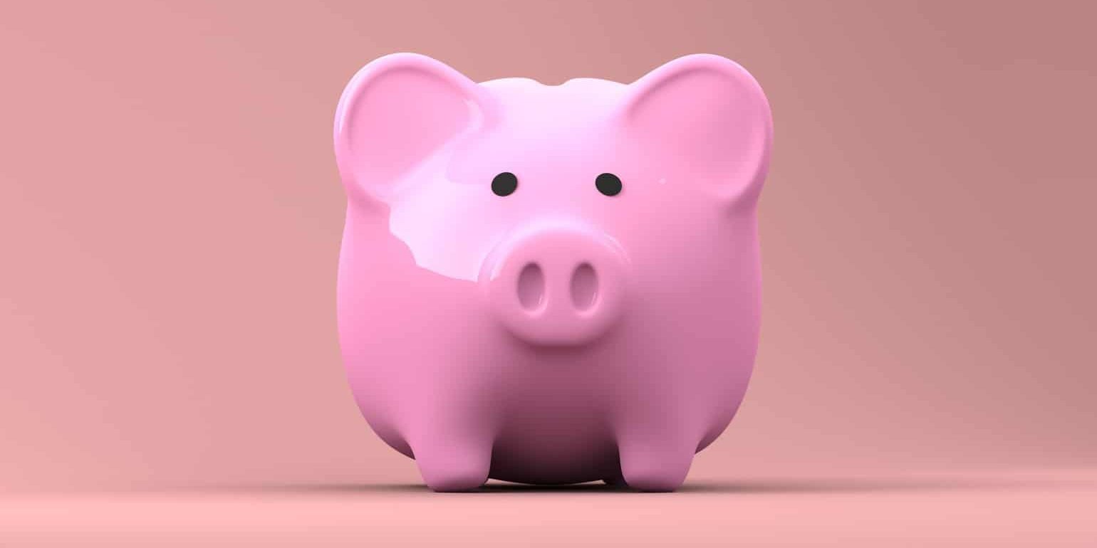 piggy bank pink piggy bank