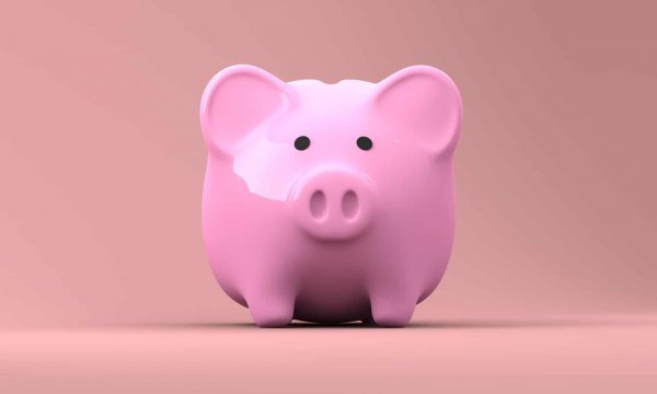 piggy bank pink piggy bank