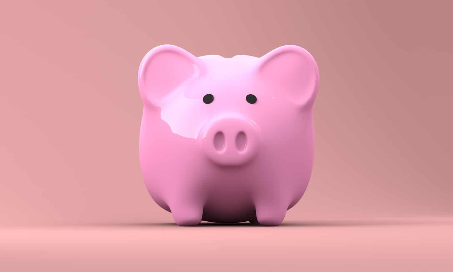 piggy bank pink piggy bank