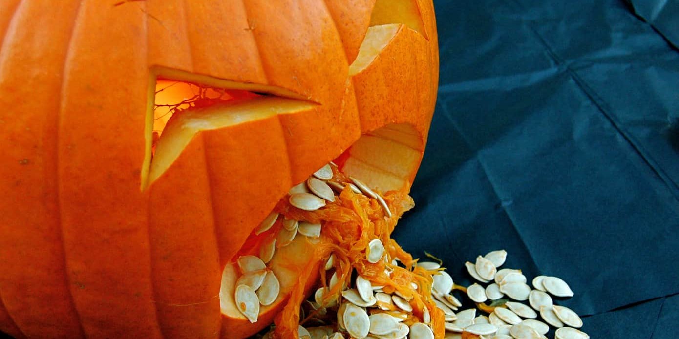 vomit pumpkin carved to look like it is throwing up