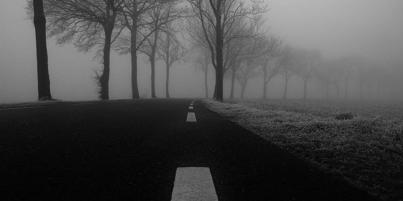 suicide-holidays-winter foggy scene with trees