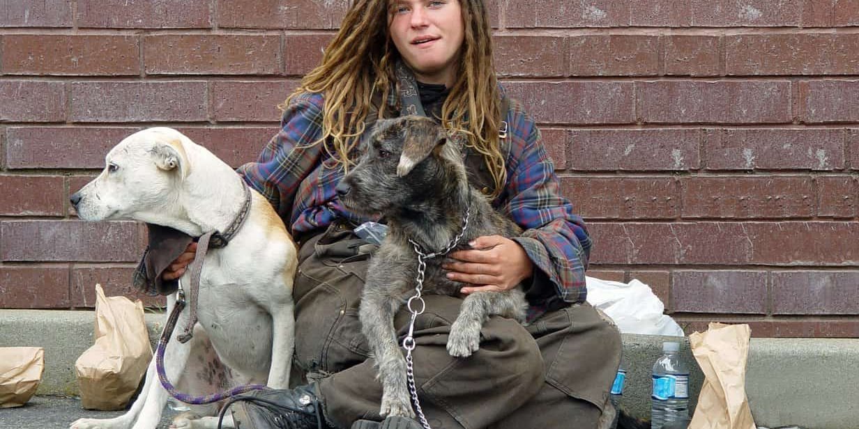 Homeless woman with dogs Homeless woman with dogs