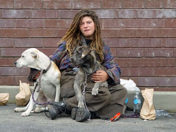 Homeless woman with dogs