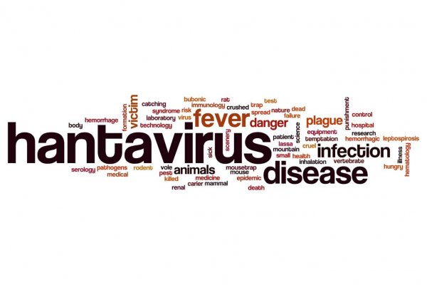 hantavirus word cloud