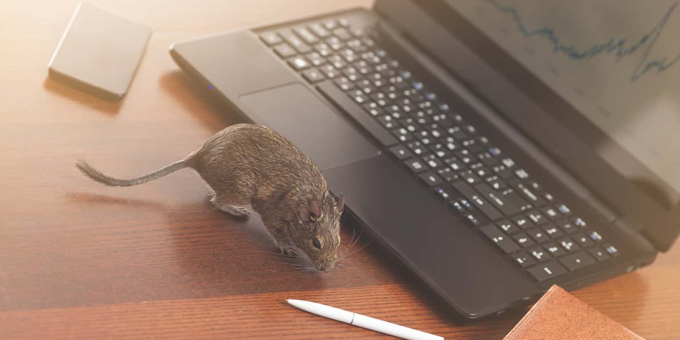 mouse next to laptop