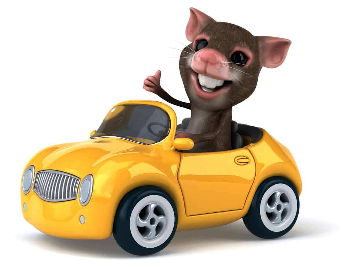 cartoon of mouse driving a car