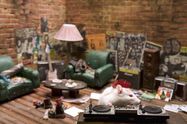 White Mouse in Doll House