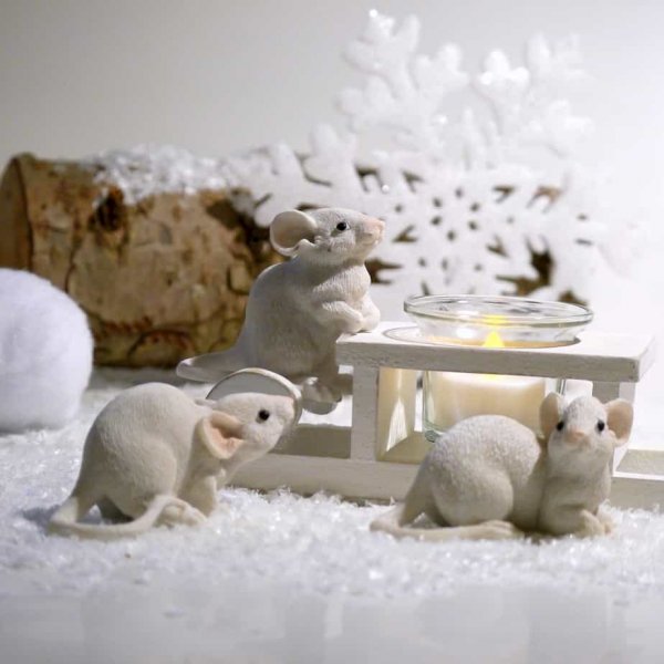 three white mice in a snowy setting