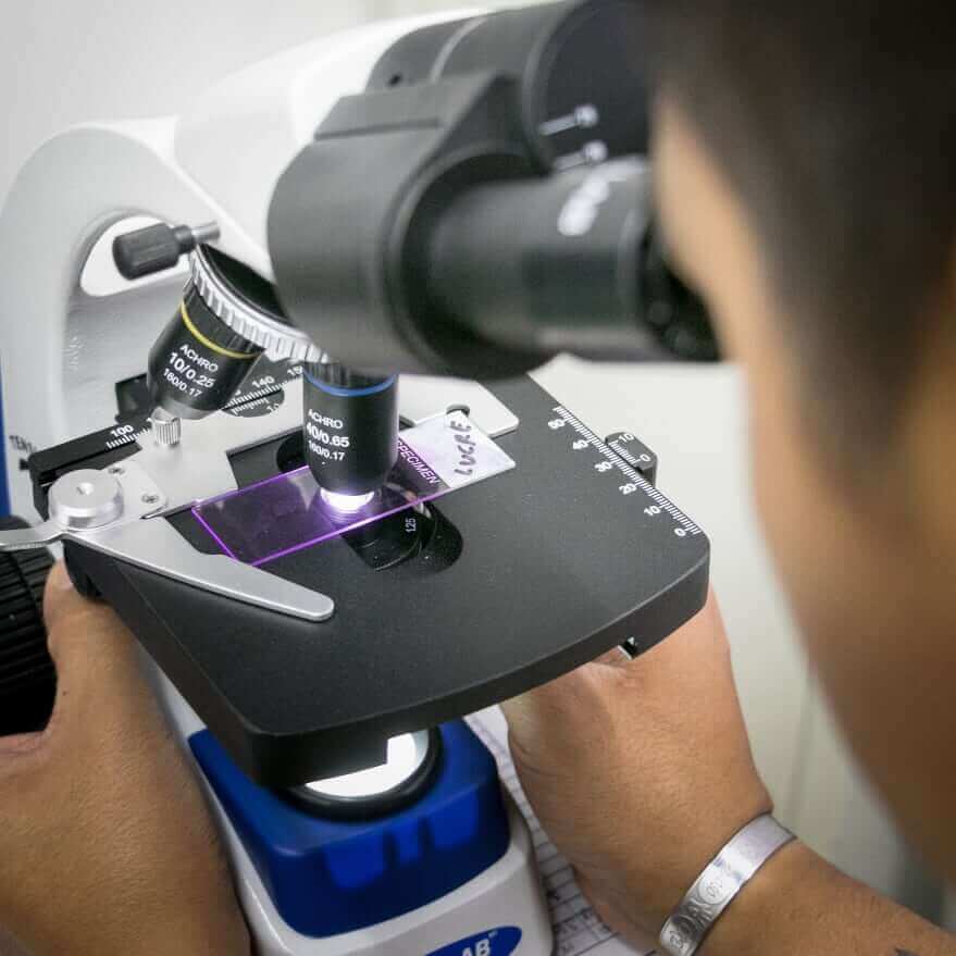 Doctor working on a microscope | Eco Bear