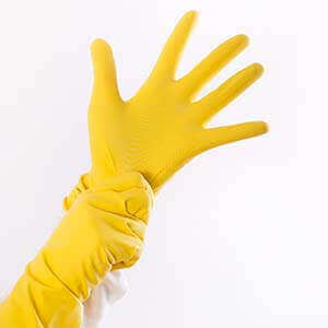 Sanitation Gloves | Eco Bear