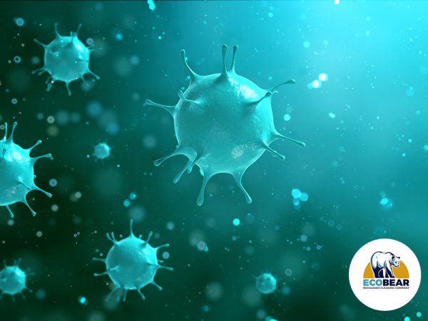 Are Bloodborne Pathogens a Risk Outside of the Medical Field bloodborne pathogens