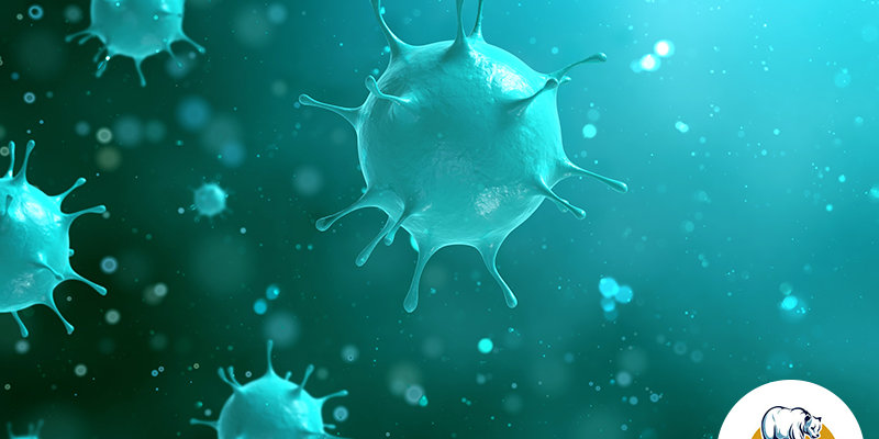 Are Bloodborne Pathogens a Risk Outside of the Medical Field bloodborne pathogens