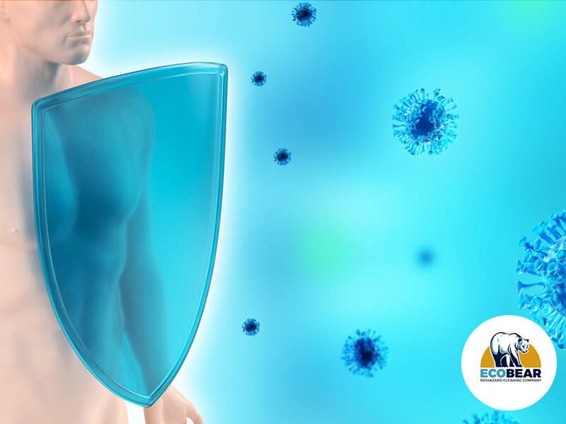 Bloodborne Pathogens_ What Are Bloodborne Pathogens and How Can You Protect Yourself bloodborne pathogens