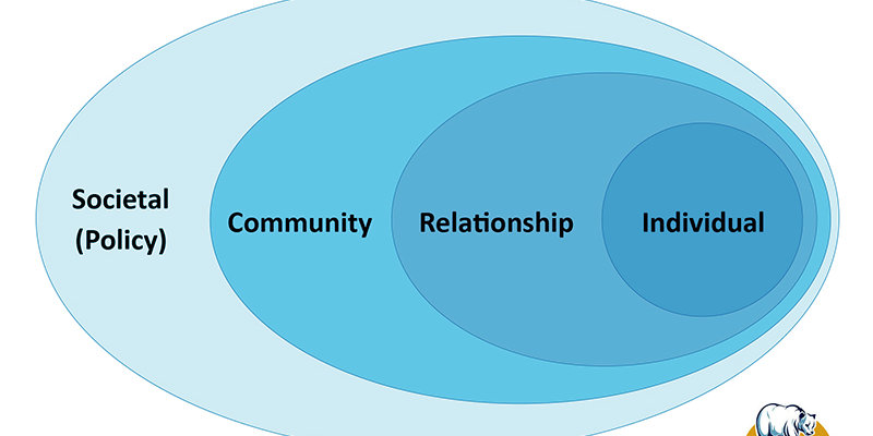 UNDERSTANDING THE SUICIDE ECOLOGICAL MODEL suicide ecological model